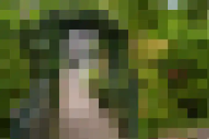 Bijsselseweg 11 123 Biddinghuizen thumbnail 6
