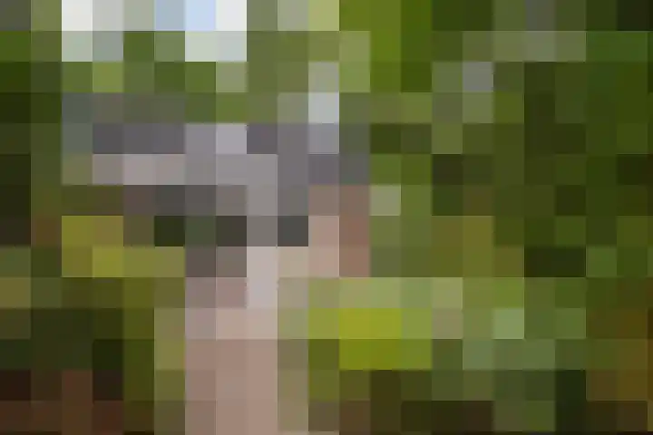 Bijsselseweg 11 123 Biddinghuizen thumbnail 7