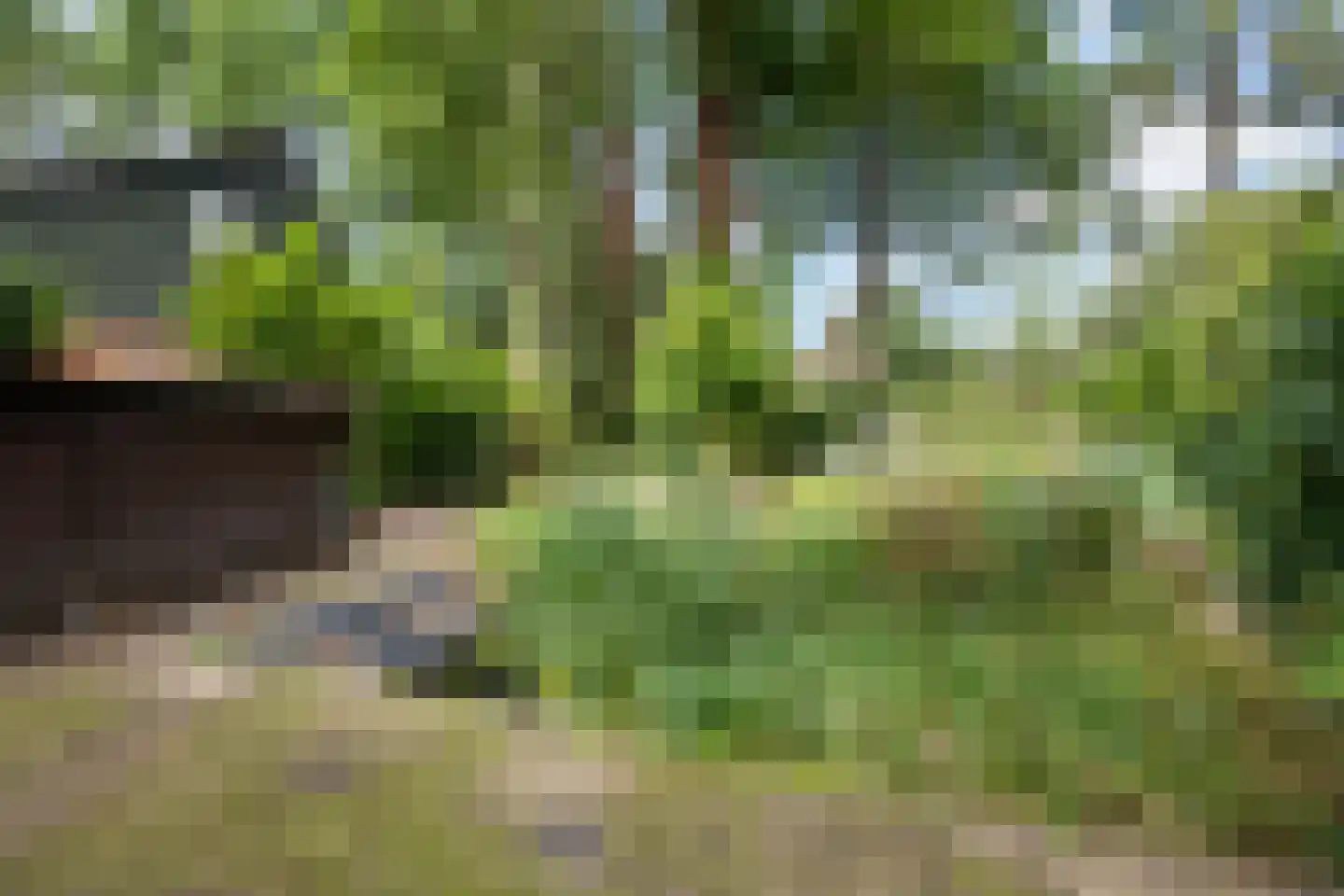 Bijsselseweg 11 144 Biddinghuizen thumbnail 21