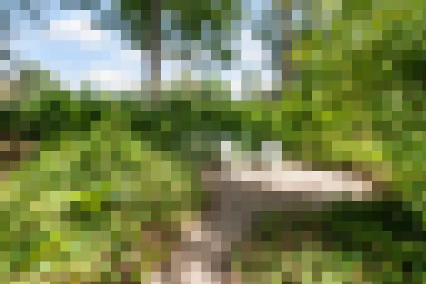 Bijsselseweg 11 144 Biddinghuizen thumbnail 22