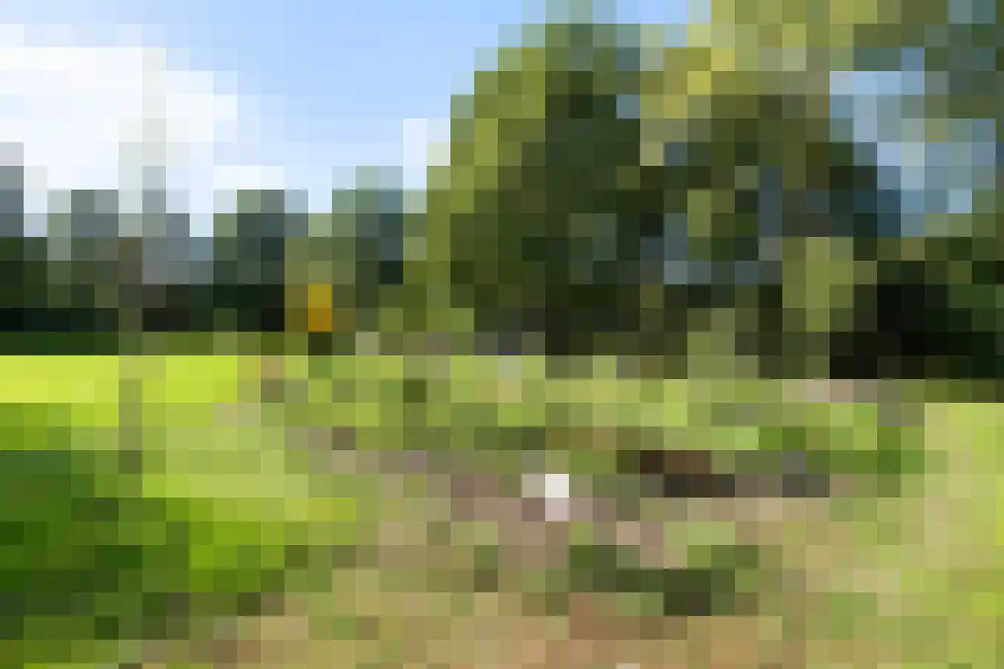 Bijsselseweg 11 144 Biddinghuizen thumbnail 23