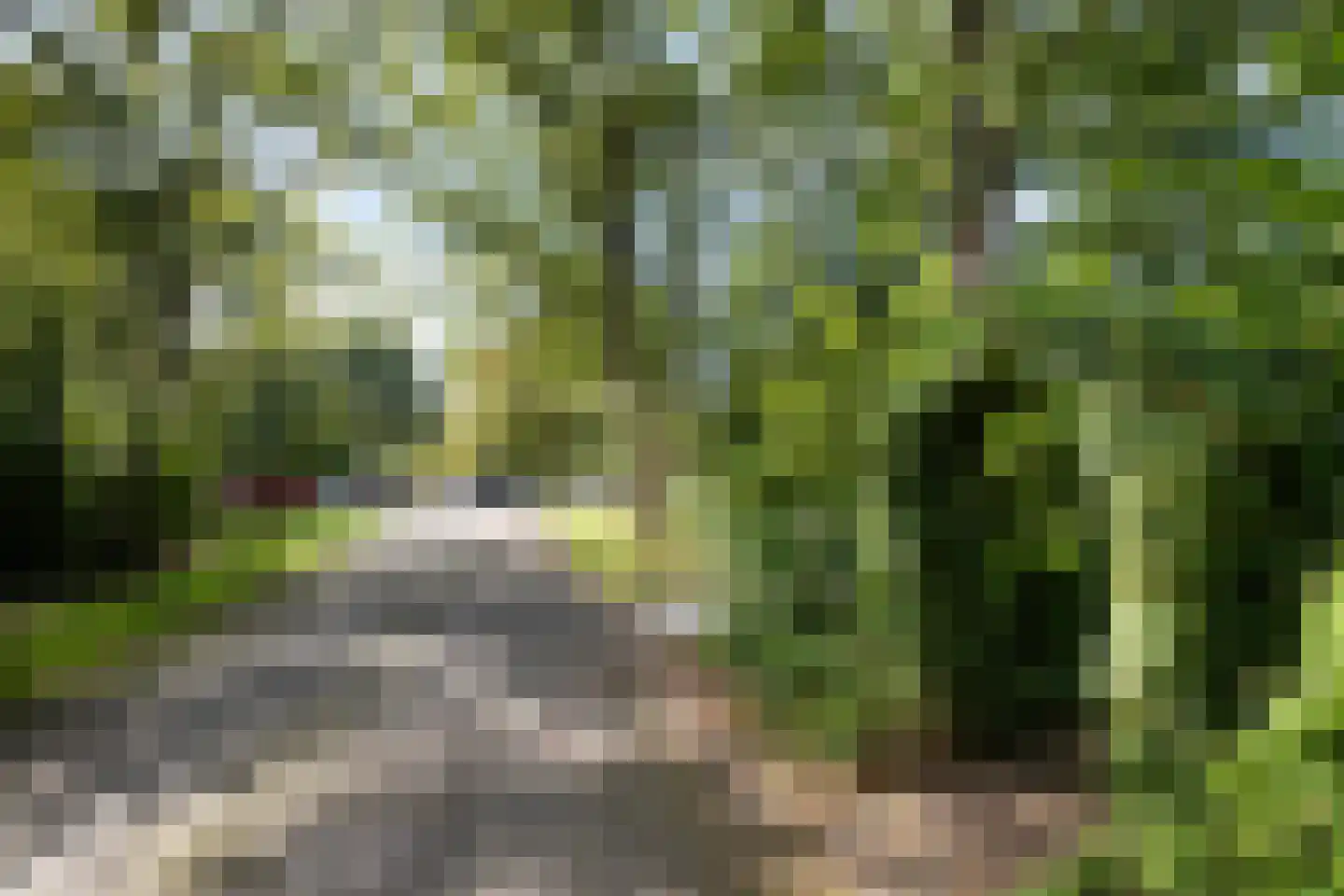 Bijsselseweg 11 144 Biddinghuizen thumbnail 7