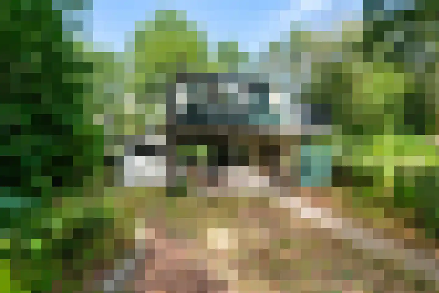 Bijsselseweg 11 144 Biddinghuizen thumbnail 8