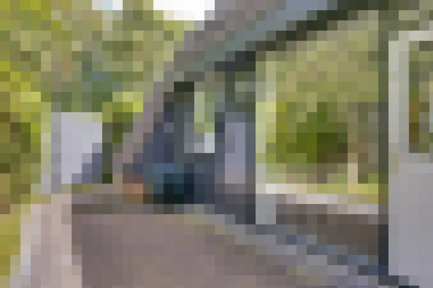 Bijsselseweg 11 161 Biddinghuizen thumbnail 24
