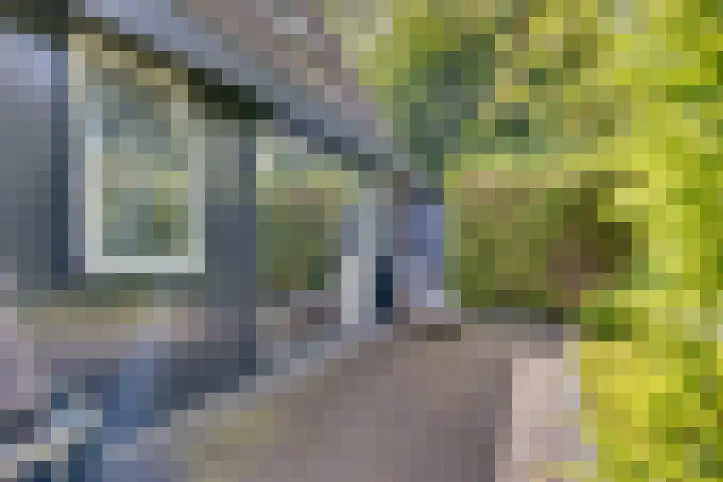Bijsselseweg 11 161 Biddinghuizen thumbnail 32