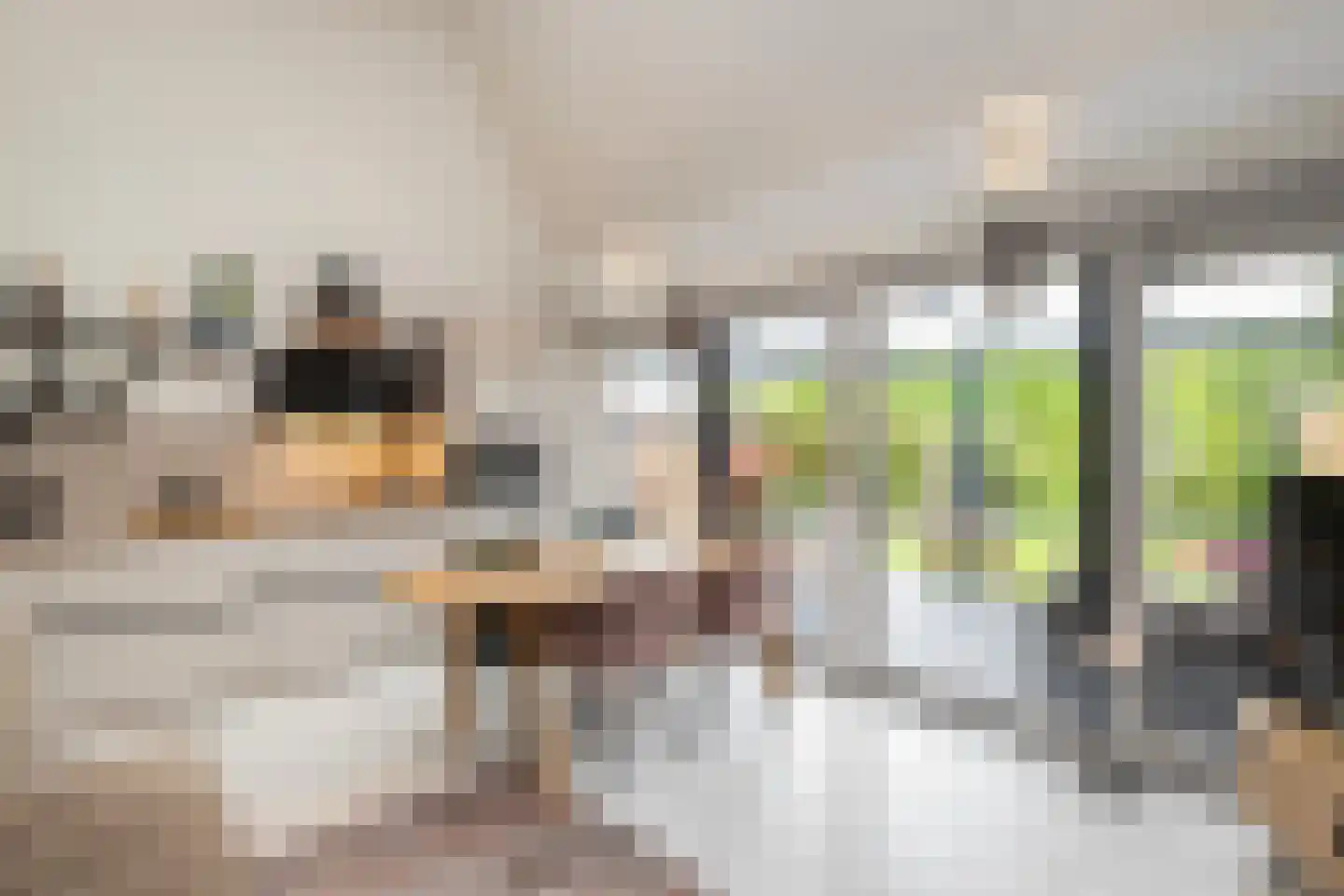 Bijsselseweg 11 169 Biddinghuizen thumbnail 6