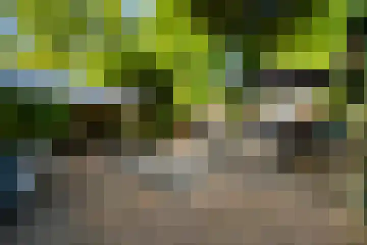Bijsselseweg 11 175 Biddinghuizen thumbnail 5