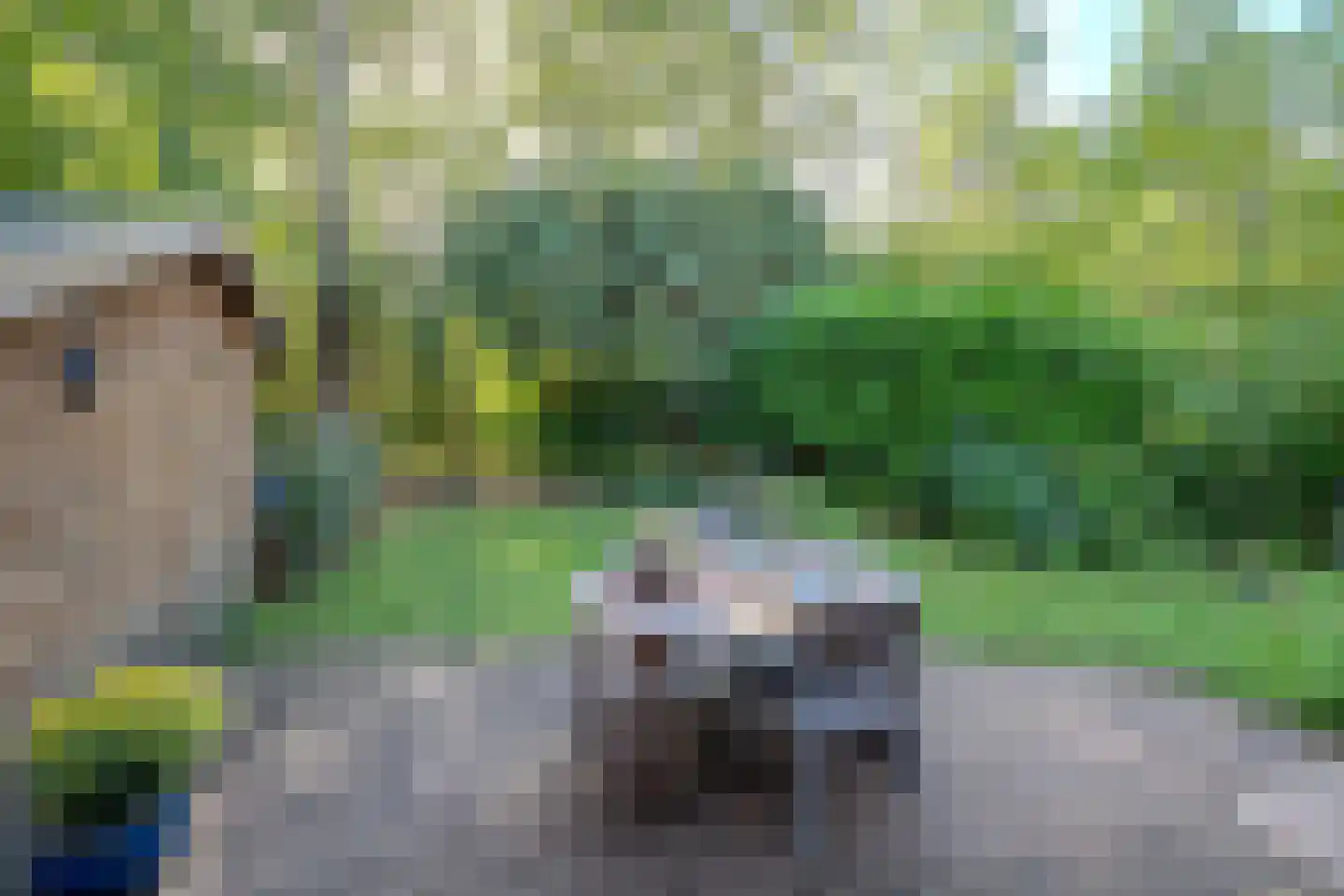Bijsselseweg 11 34 Biddinghuizen thumbnail 26