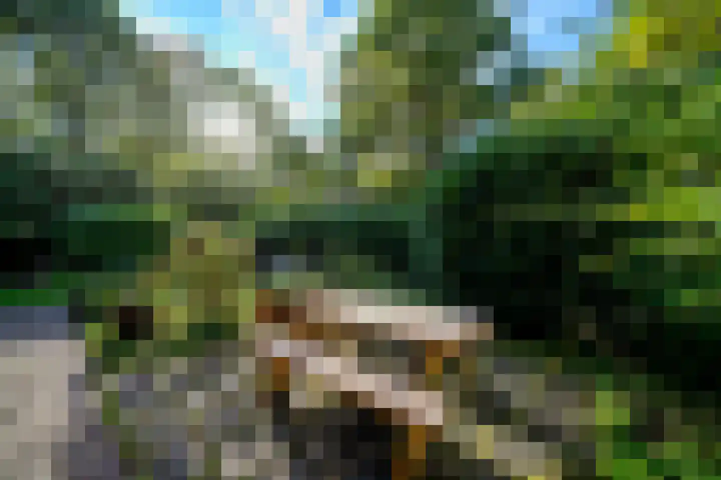 Bijsselseweg 11 34 Biddinghuizen thumbnail 31