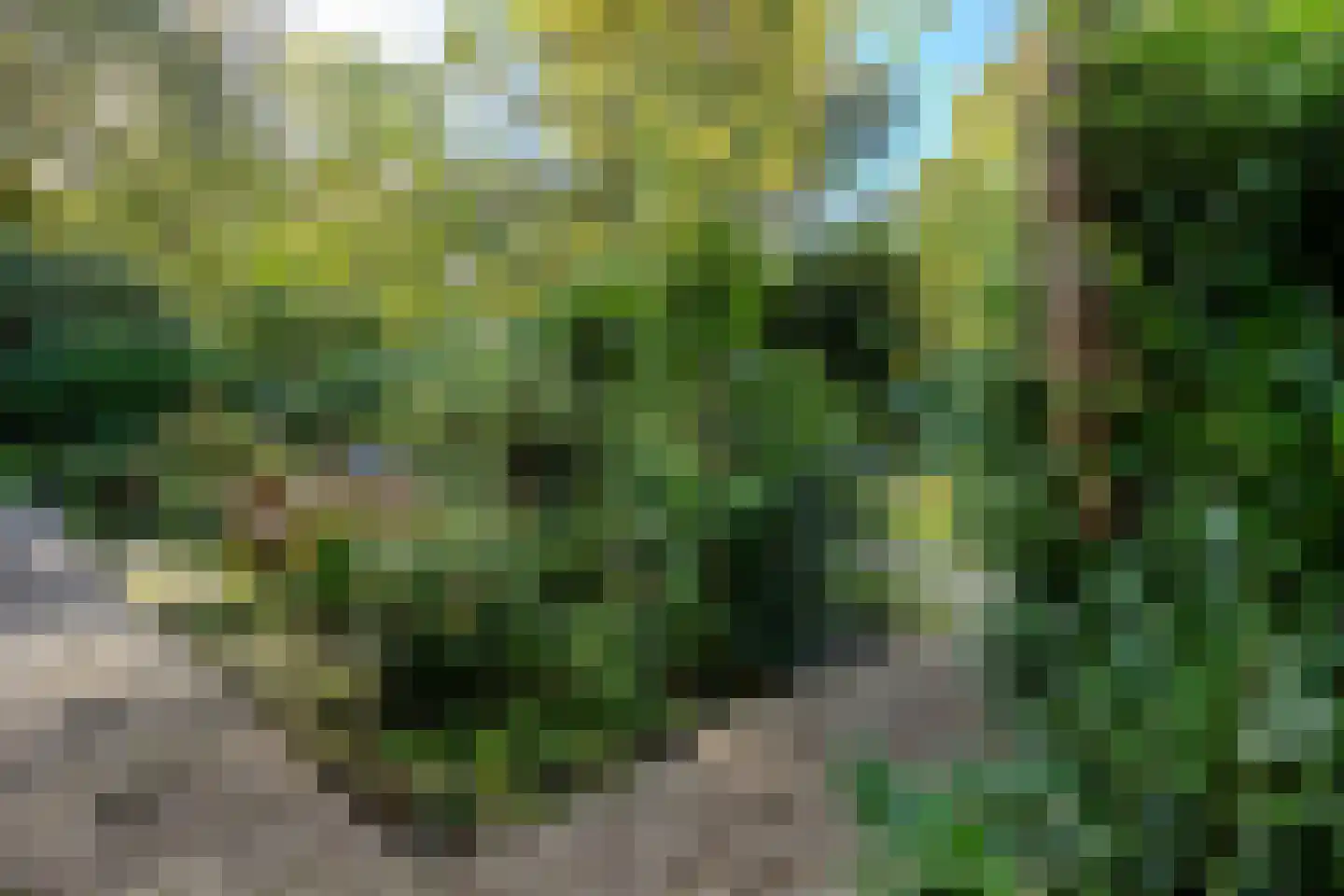 Bijsselseweg 11 34 Biddinghuizen thumbnail 33