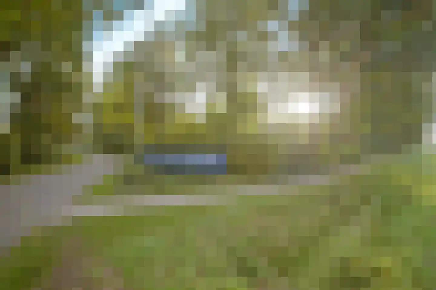 Bijsselseweg 11 34 Biddinghuizen thumbnail 36