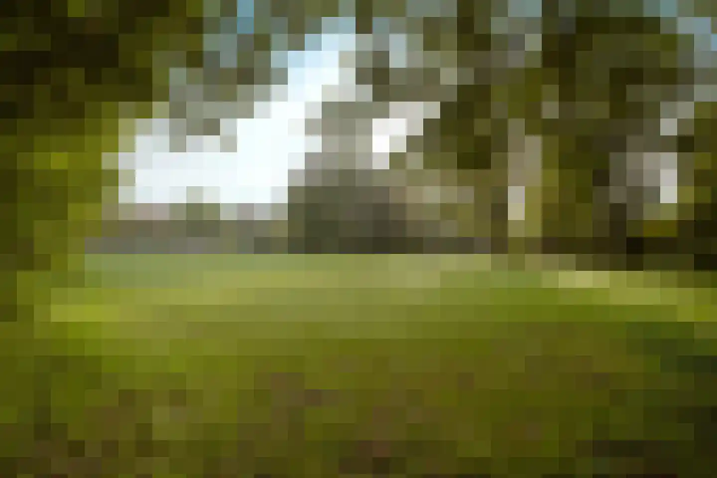 Bijsselseweg 11 34 Biddinghuizen thumbnail 41