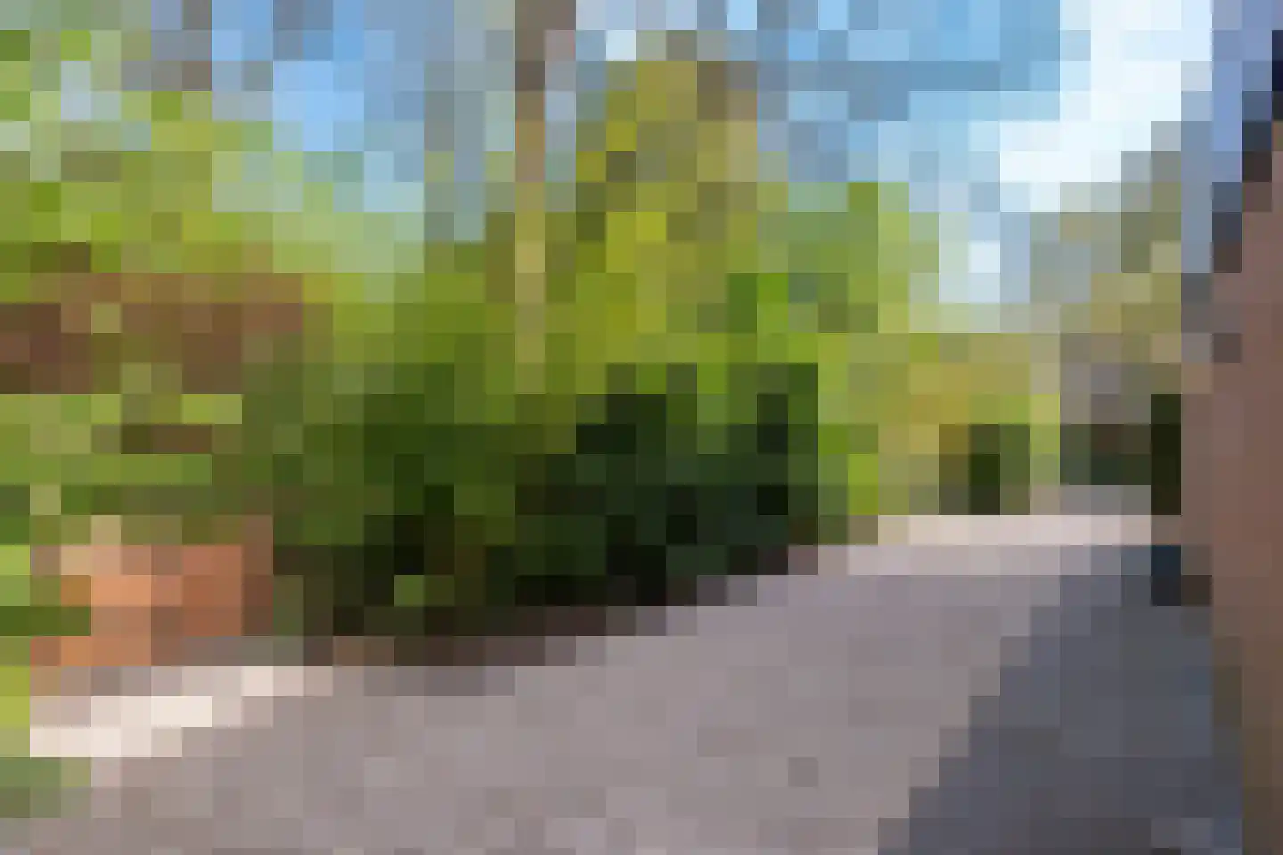 Bijsselseweg 11 42 Biddinghuizen thumbnail 19