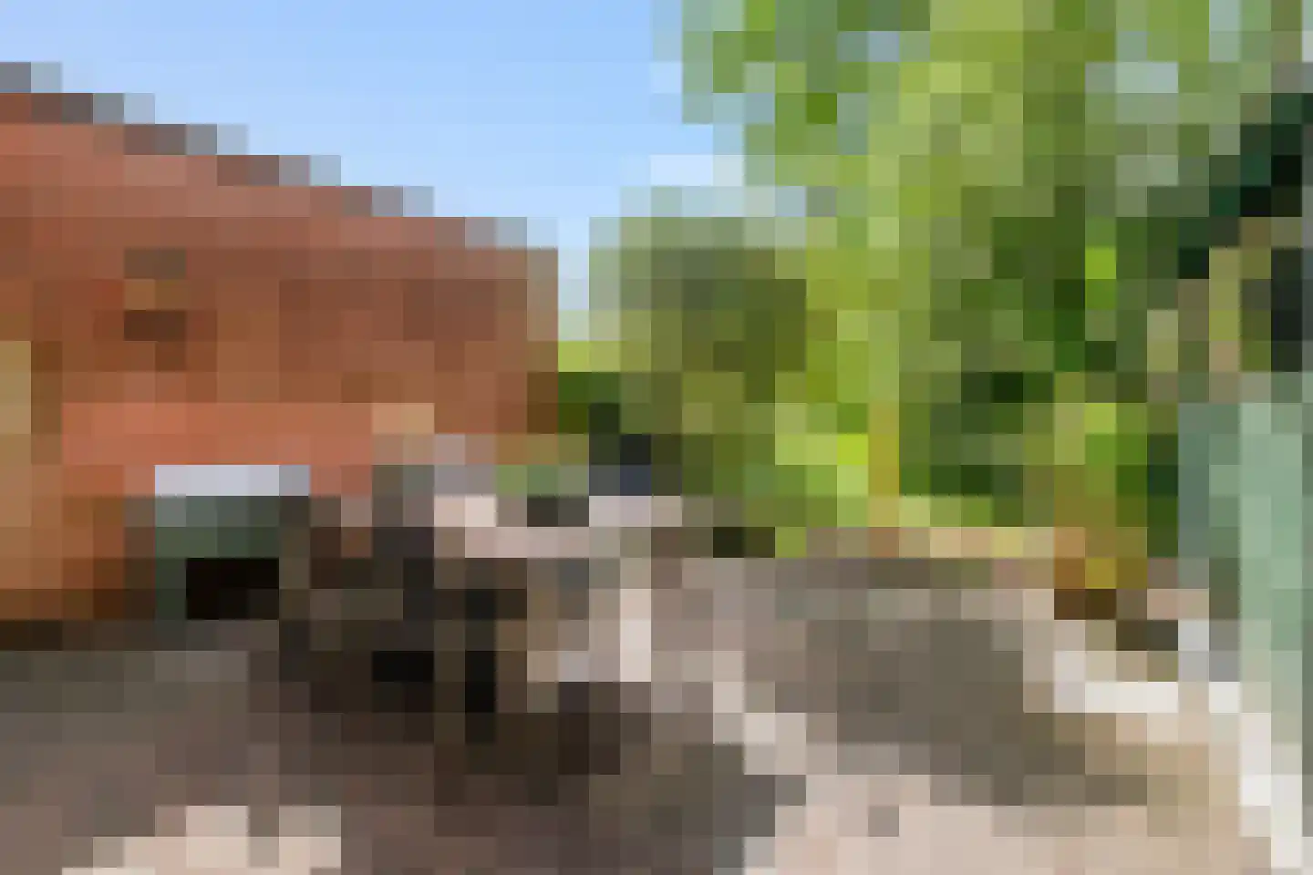 Bijsselseweg 11 69 Biddinghuizen thumbnail 17