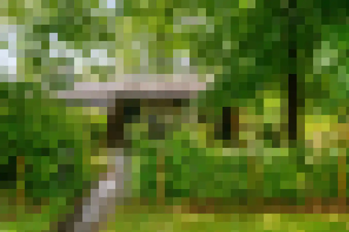 Bijsselseweg 11 69 Biddinghuizen thumbnail 19