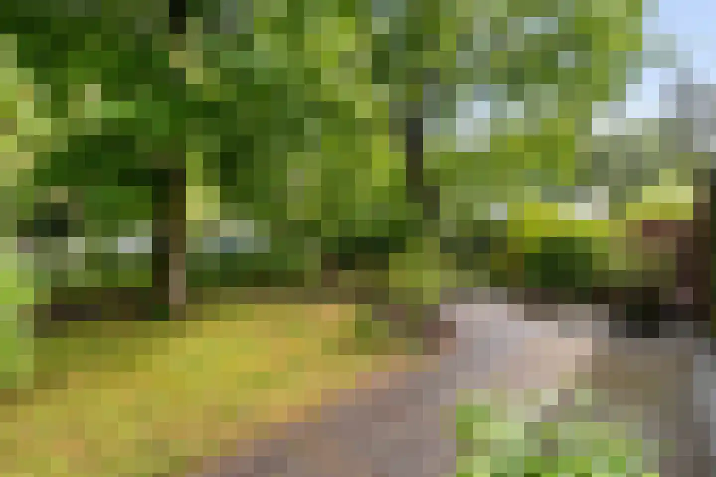 Bijsselseweg 11 69 Biddinghuizen thumbnail 19