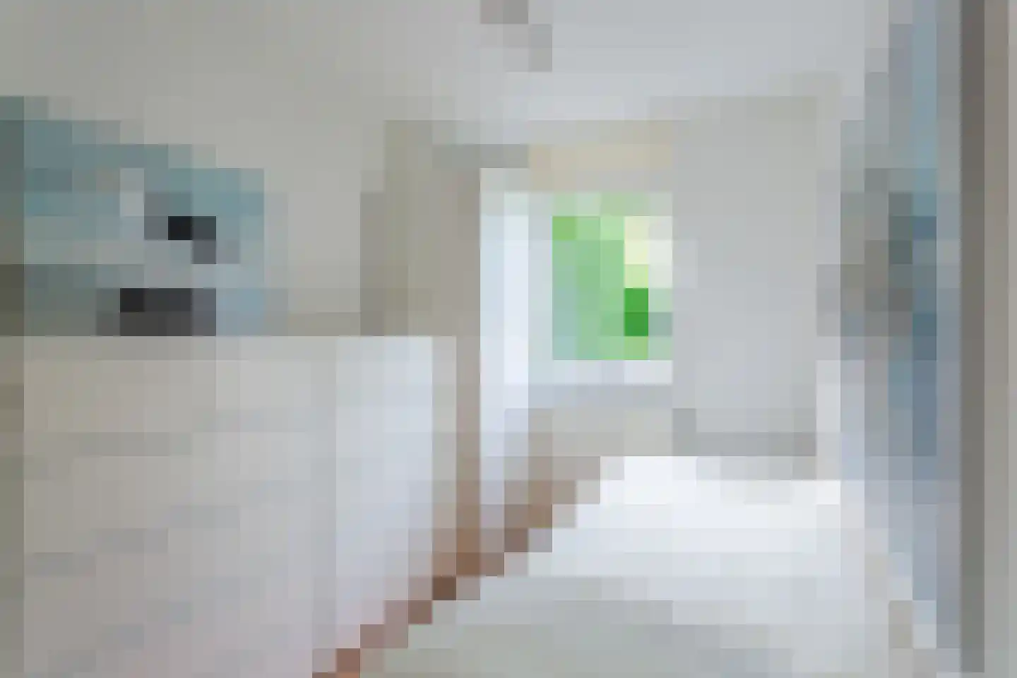 Bijsselseweg 3 129 Biddinghuizen thumbnail 28