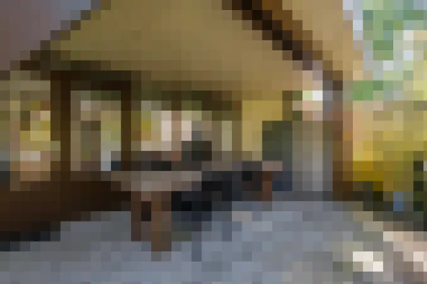 Bijsselseweg 3 26 Biddinghuizen thumbnail 13