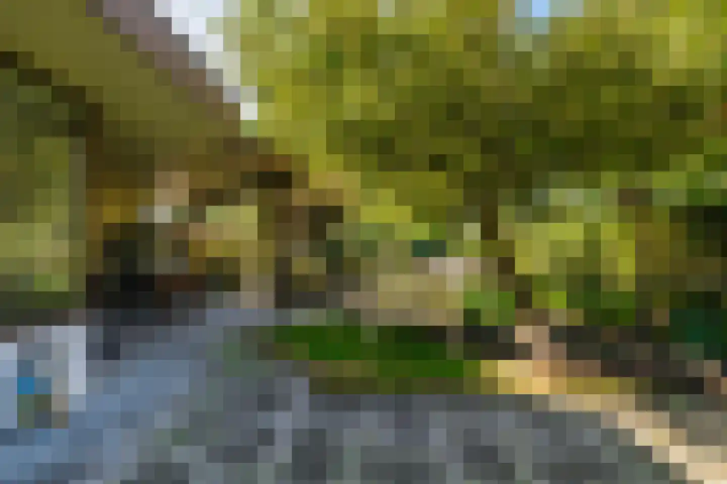 Bijsselseweg 3 26 Biddinghuizen thumbnail 14