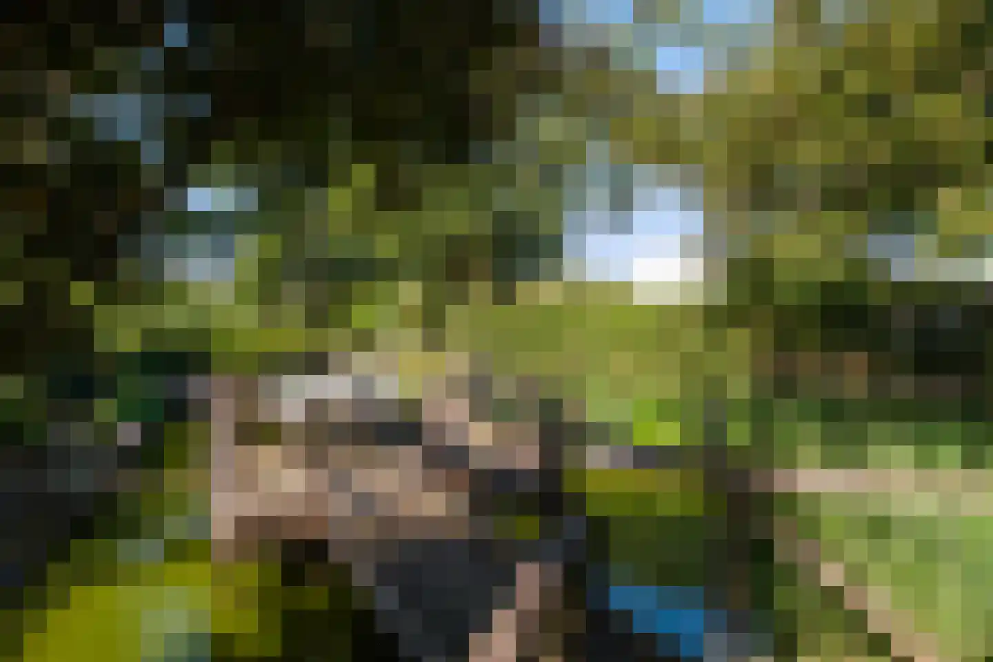 Bijsselseweg 3 26 Biddinghuizen thumbnail 17