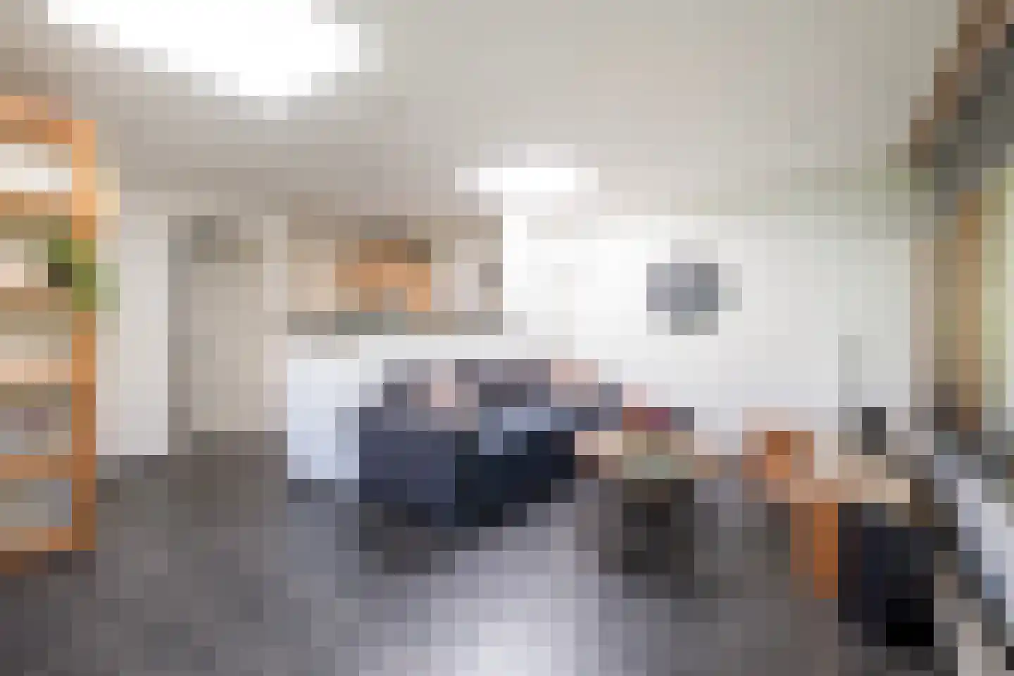 Bijsselseweg 3 26 Biddinghuizen thumbnail 6