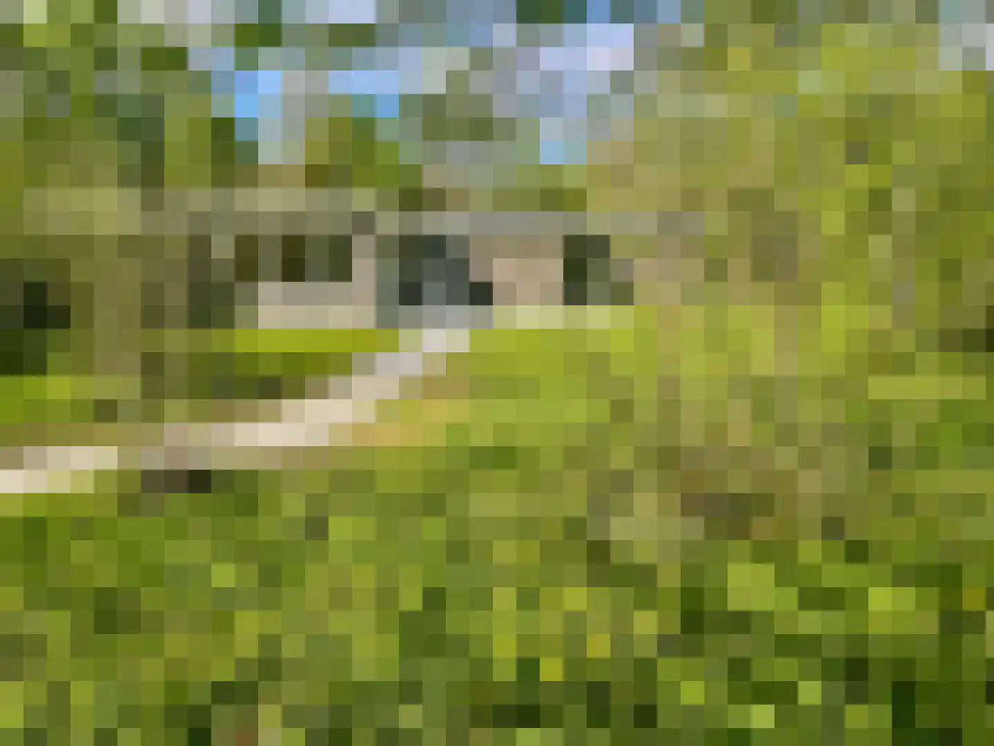 Bijsselseweg 3 88 Biddinghuizen thumbnail 30