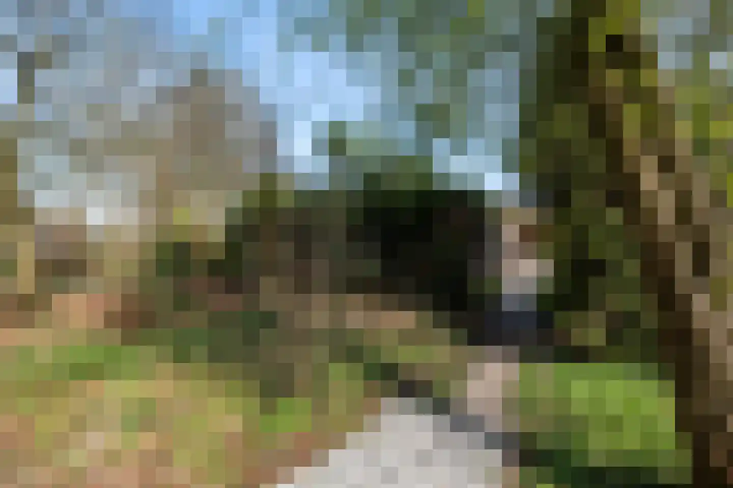 Bijsselseweg 3 89 Biddinghuizen thumbnail 21