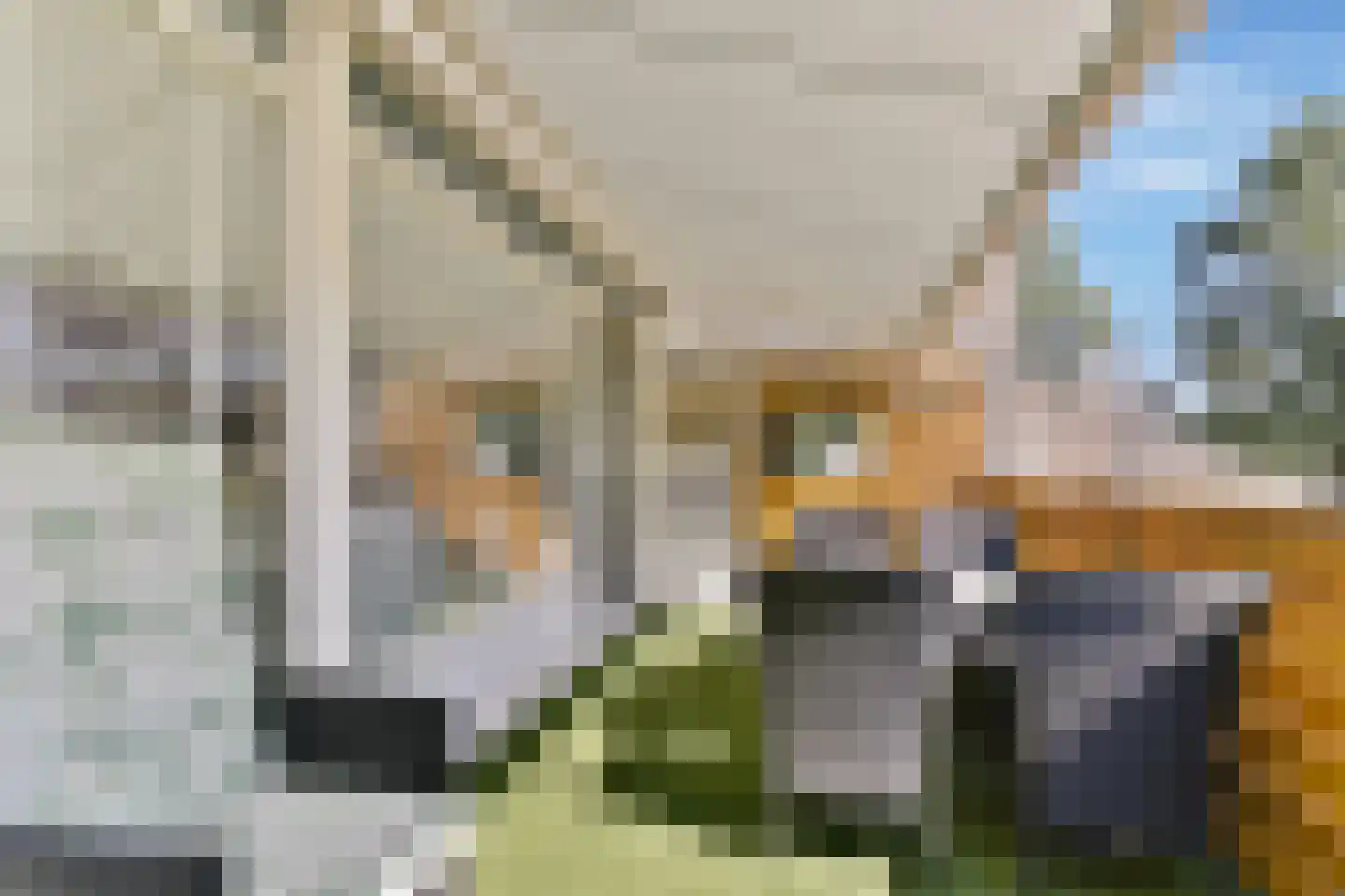 Bijster 25 Hoogvliet Rotterdam thumbnail 14