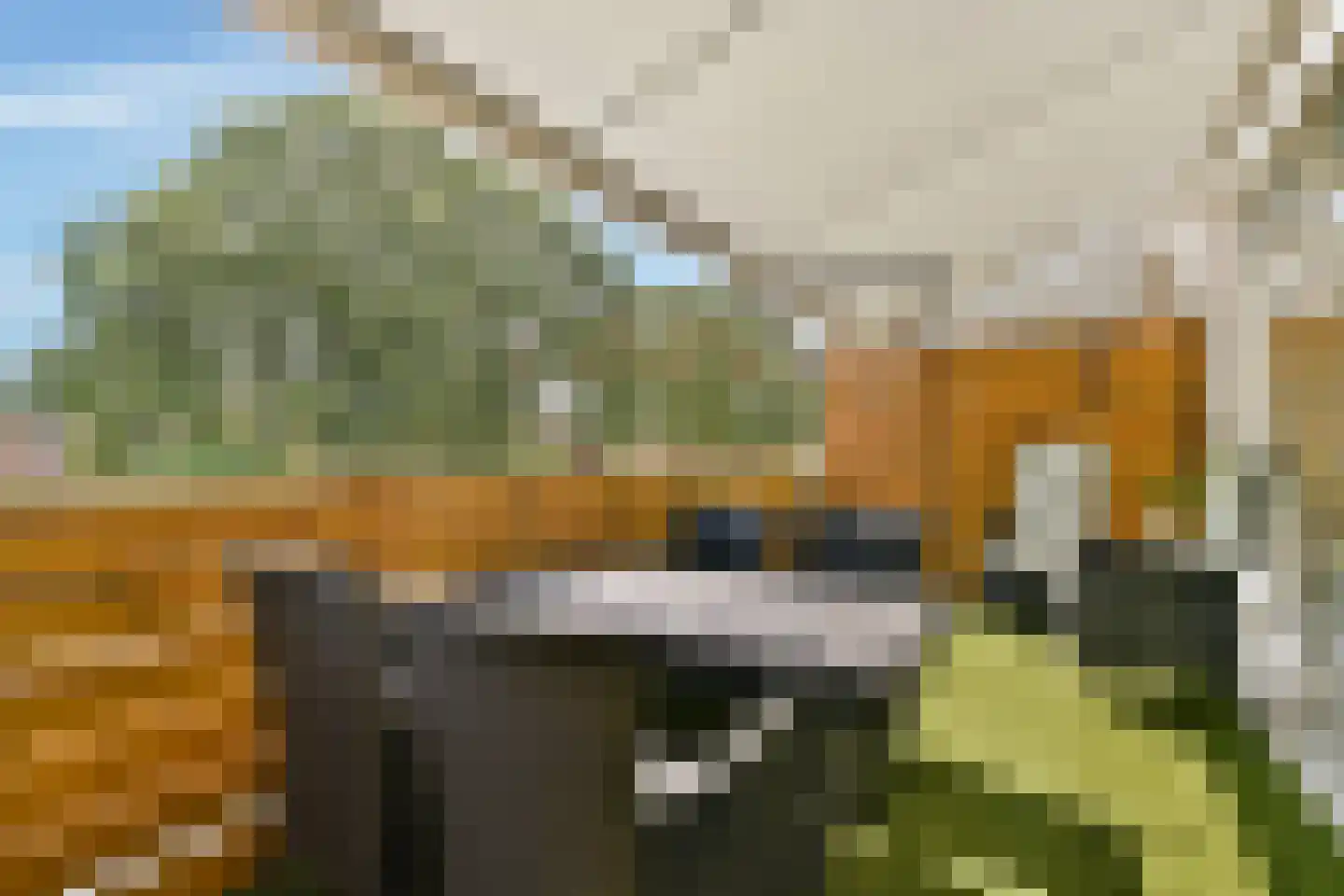 Bijster 25 Hoogvliet Rotterdam thumbnail 6