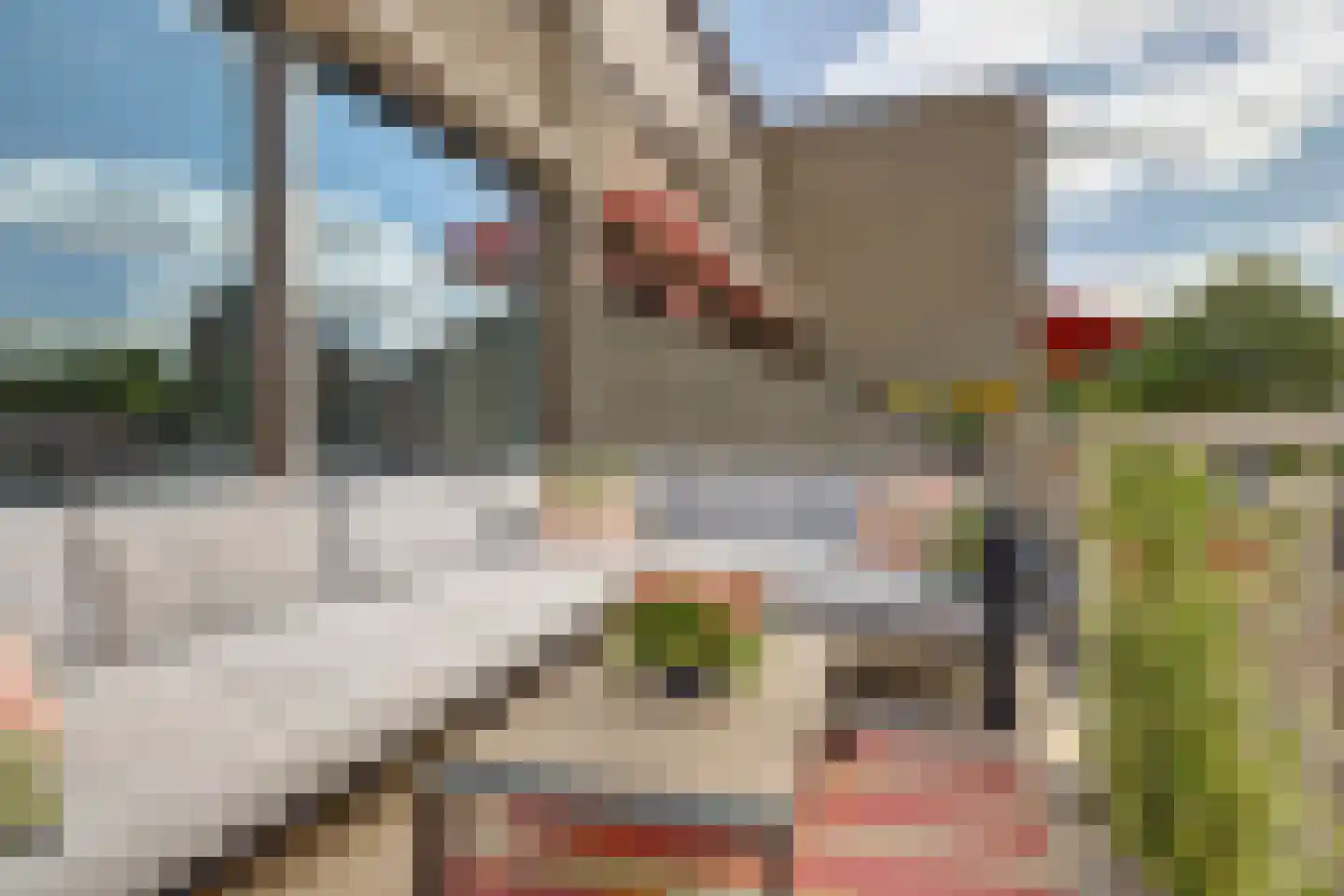 Bijster 26 Hoogvliet Rotterdam thumbnail 7