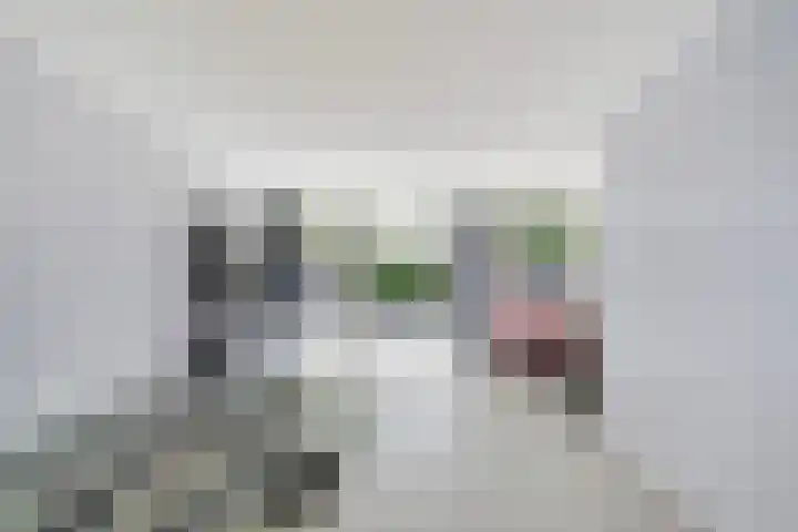 Bijster 75 Hoogvliet Rotterdam thumbnail 10