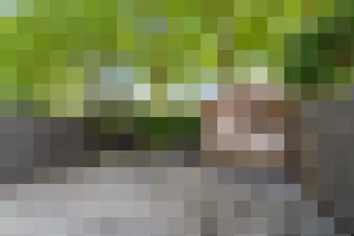 Bijster 75 Hoogvliet Rotterdam thumbnail 24