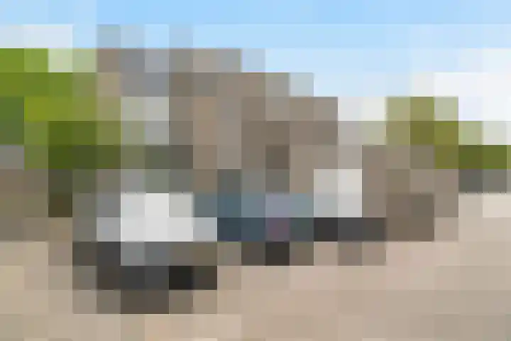 Bijster 75 Hoogvliet Rotterdam thumbnail 25