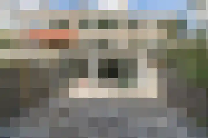 Bijster 75 Hoogvliet Rotterdam thumbnail 7