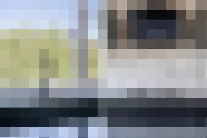 Bijster 77 Hoogvliet Rotterdam thumbnail 17