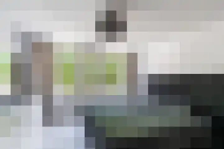 Bijster 77 Hoogvliet Rotterdam thumbnail 19