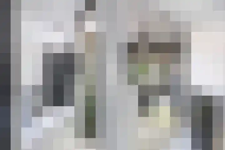 Bijster 77 Hoogvliet Rotterdam thumbnail 22