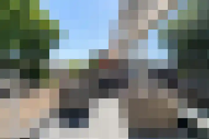 Bijster 77 Hoogvliet Rotterdam thumbnail 27