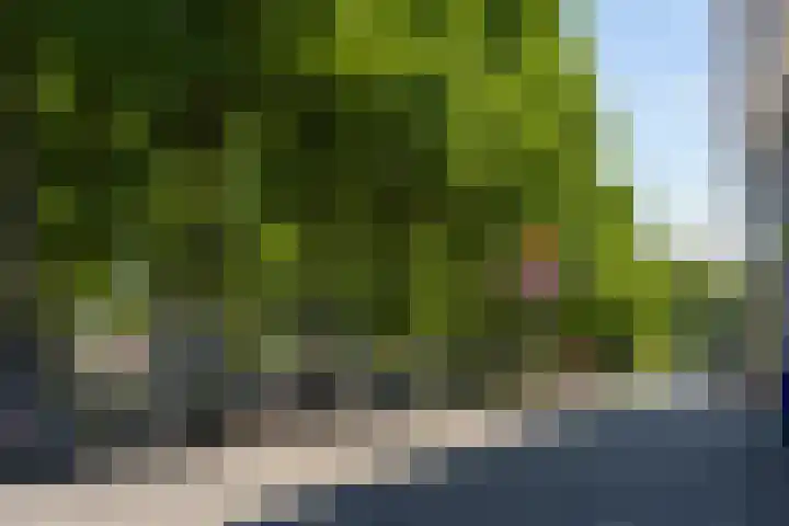 Bijster 77 Hoogvliet Rotterdam thumbnail 30