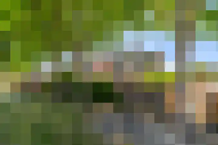 Bijster 77 Hoogvliet Rotterdam thumbnail 36