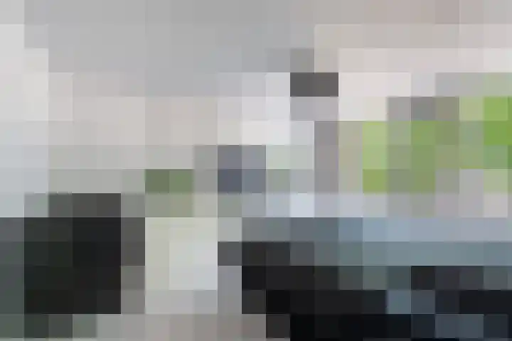 Bijster 77 Hoogvliet Rotterdam thumbnail 5