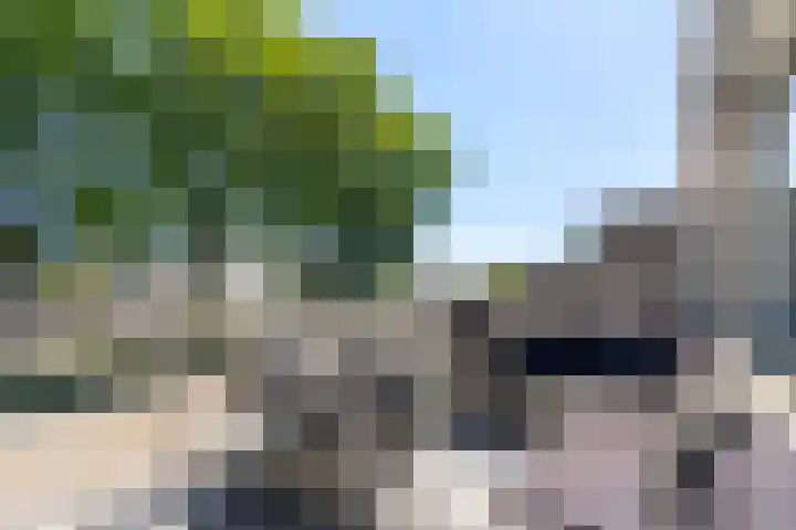 Bijster 77 Hoogvliet Rotterdam thumbnail 6