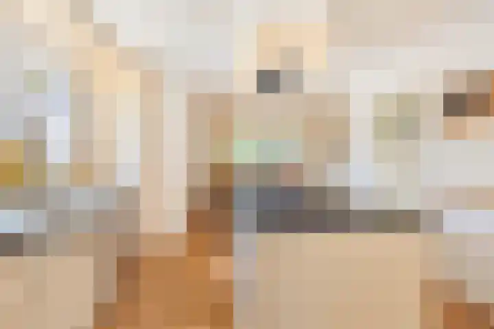 Bijsterbosweg 5 A Epe thumbnail 10