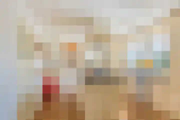 Bijsterbosweg 5 A Epe thumbnail 12