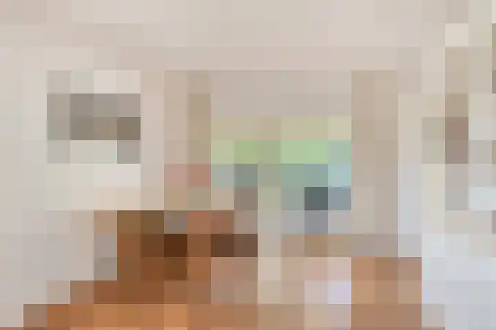 Bijsterbosweg 5 A Epe thumbnail 13