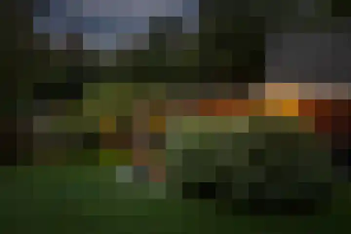 Bijsterbosweg 5 A Epe thumbnail 31