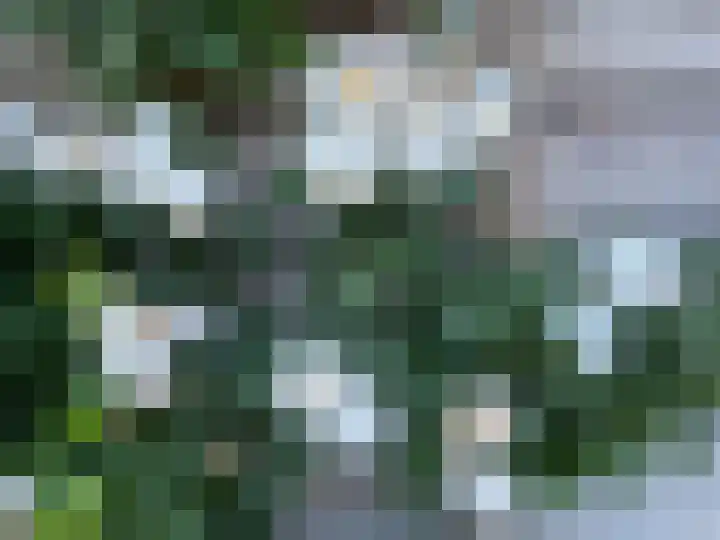 Bijsterbosweg 5 A Epe thumbnail 32