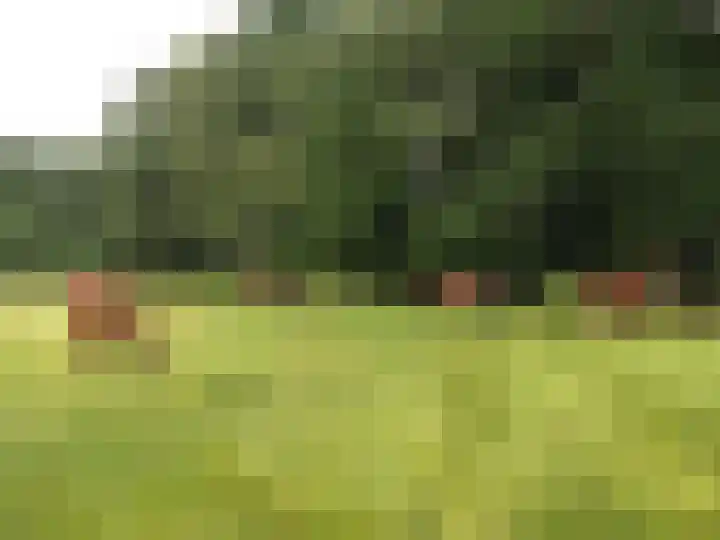 Bijsterbosweg 5 A Epe thumbnail 45
