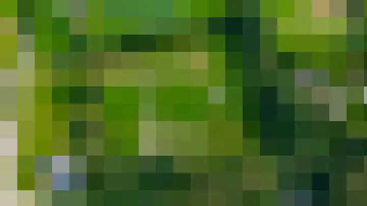 Bijsterbosweg 5 A Epe thumbnail 48