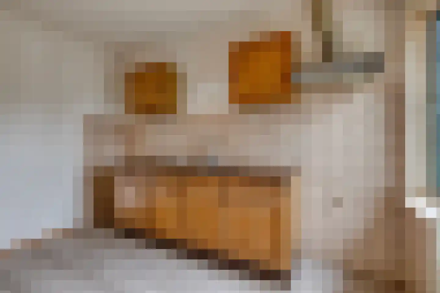 Bijsteren 15 's-Hertogenbosch thumbnail 11